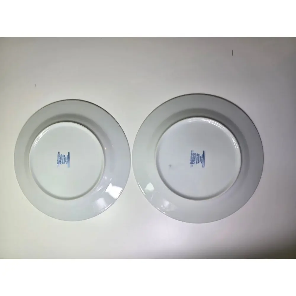 Oneida maitre porcelain